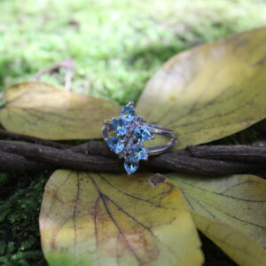 Swiss Blue Topaz/CZ (Cluster 20mm x 14mm)
