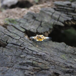 Citrine Cut (1 x 5mm, 6 x 1mm)