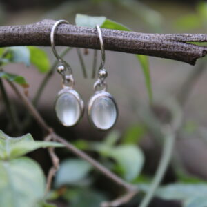 Cats Eye Moonstone (8mm x 6mm) - Single