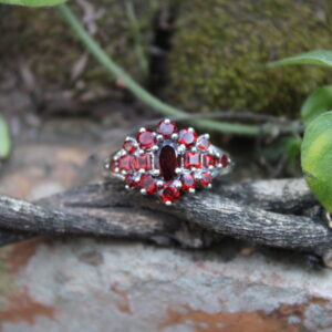 Garnet Cut Cluster (1 x 6mm x 4mm, 6 x 3mm, 4 x 2.5mm, 6 x 2mm)