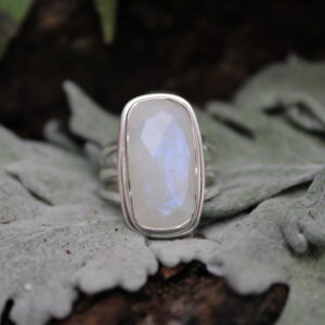 Moonstone Cut (20mm x 11mm)