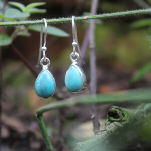 Teardrop Arizona Turquoise Drop Earrings