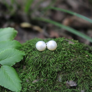 Plain Silver Pearl Stud Earrings (6mm)